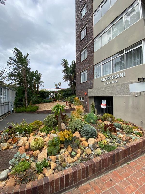 To Let 1 Bedroom Property for Rent in Green Point Western Cape